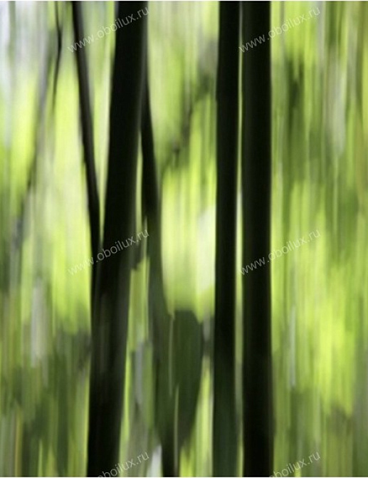 Панно и фотообои A. S. Creation XXL 0362-8