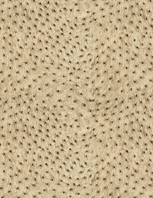Ткань Kravet Modern Luxe Platinum 32515/416