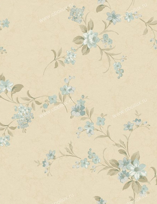 Обои York West Wind Design WW4436