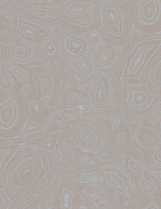 Обои Cole & Son Fornasetti 77/7026