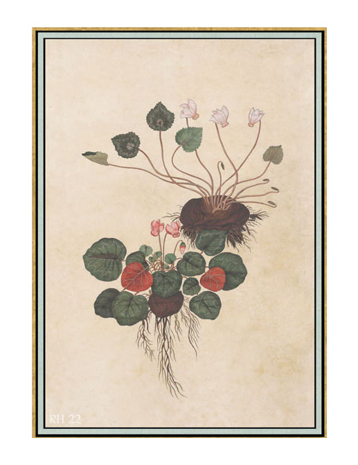 Панно и фотообои Iksel Scenic & Architectural Wallpapers Renaissance Herbier RH22