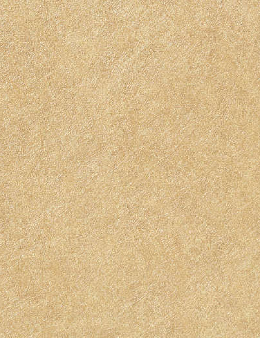 Обои Vescom Textile Wallcovering 04 2001-06