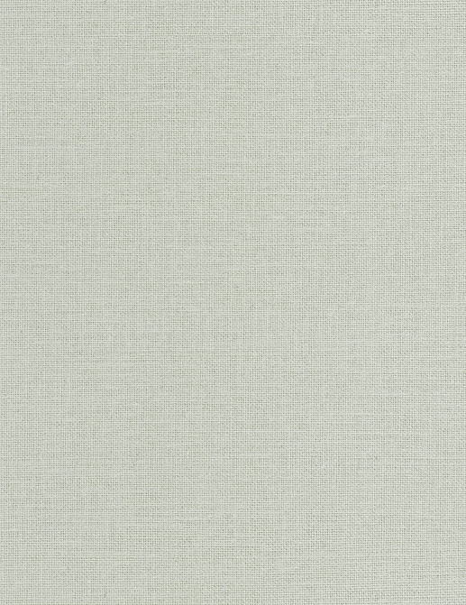 Обои Caselio Jute JTE104017000