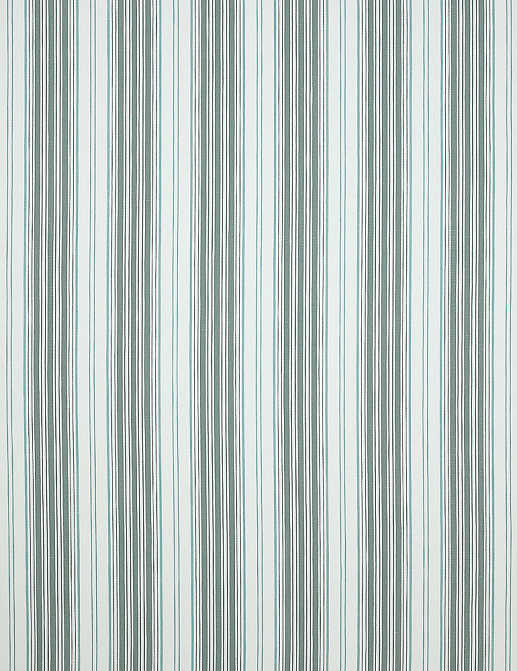 Ткань Manuel Canovas Ambroise 04977/04