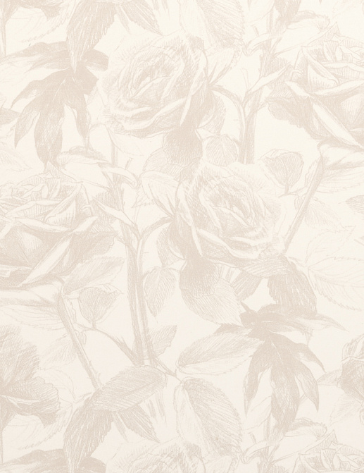 Ткань Clarke & Clarke Floribunda F0474/05