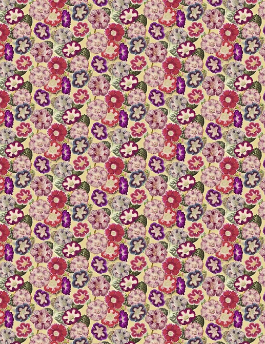 Ткань Designers Guild Picture Book Prints FJD6001/01