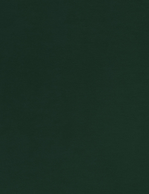 Ткань Lorenzo Castillo Kiba Volume XII LCT1181-005