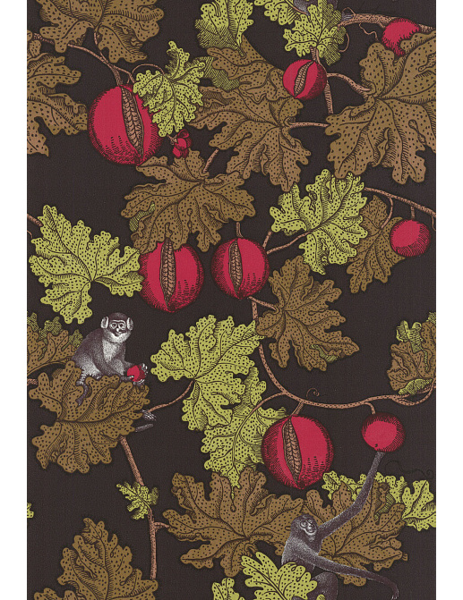 Обои Cole & Son Fornasetti 77/12045