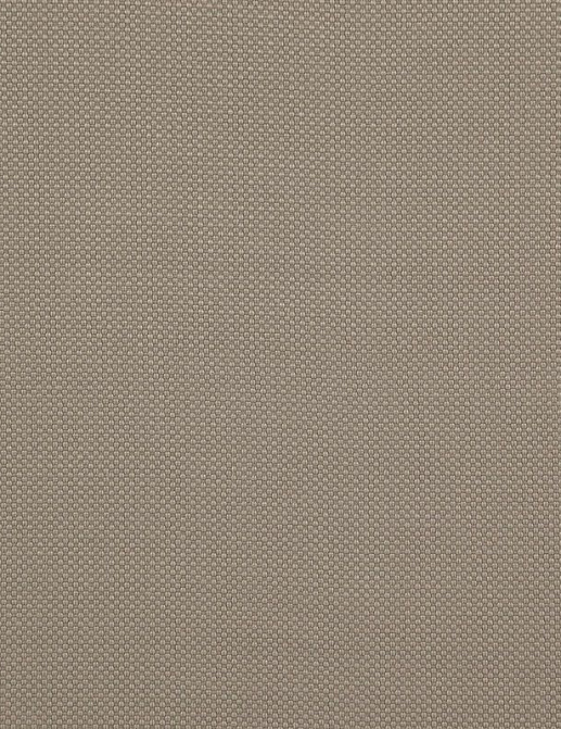 Ткань Daylight Falcon Falcon/Almond