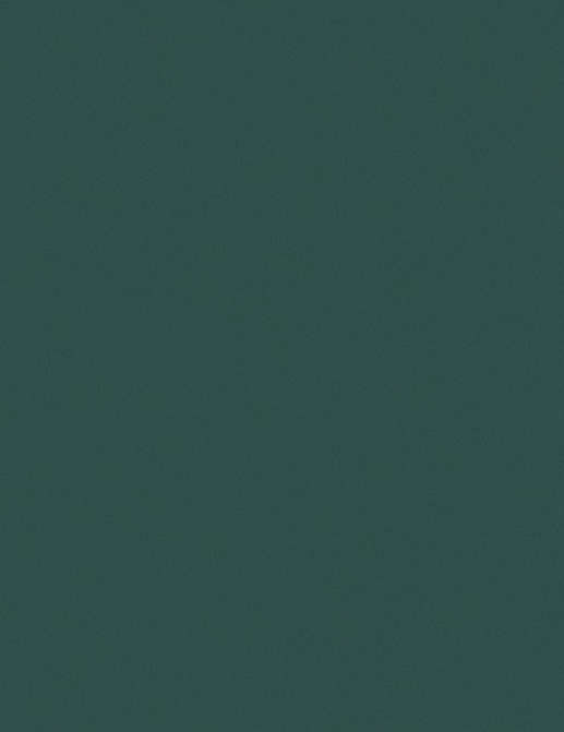 Обои Loymina Амплуа Клэр CLR9 005
