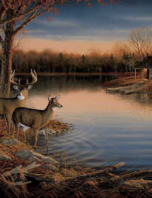 Панно и фотообои York Lake Forest Lodge RA0169M