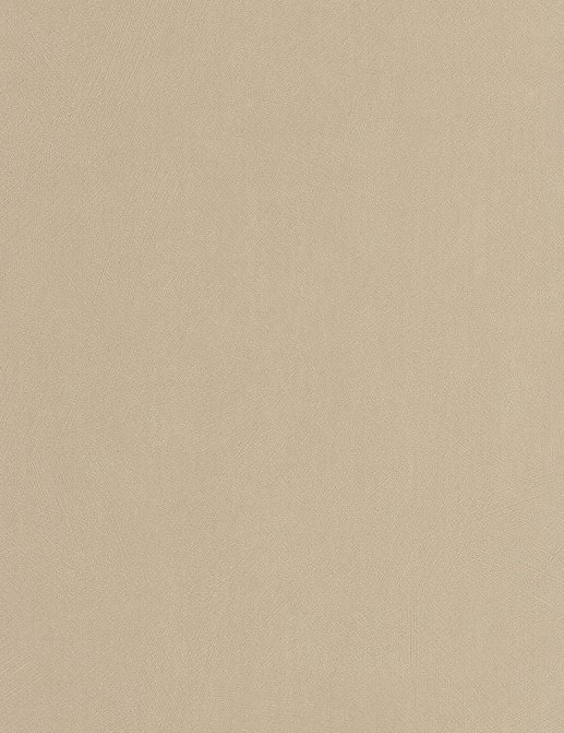 Обои Casadeco So Color 6 SOCO201001313