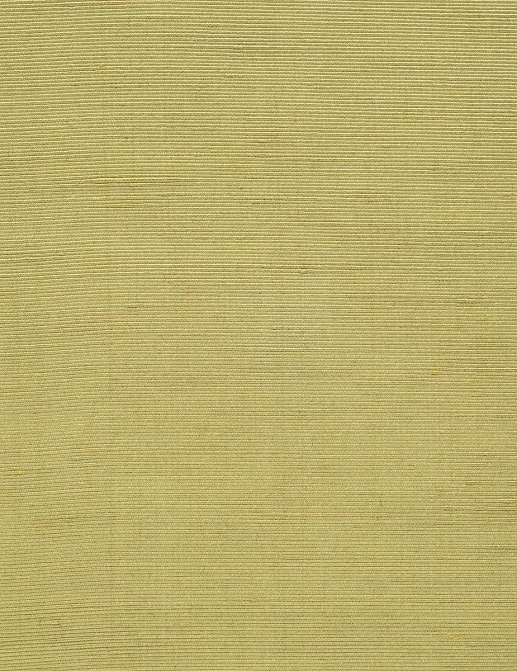 Ткань Loro Piana Le Sete AS1001/5