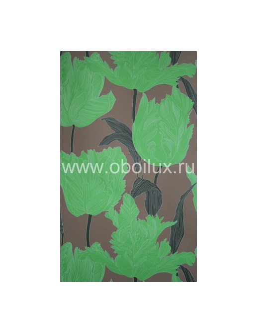 Обои Osborne & Little Hot House W5800-05