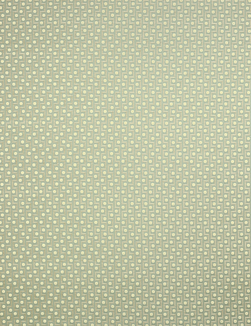 Ткань Manuel Canovas Opio M4014-04