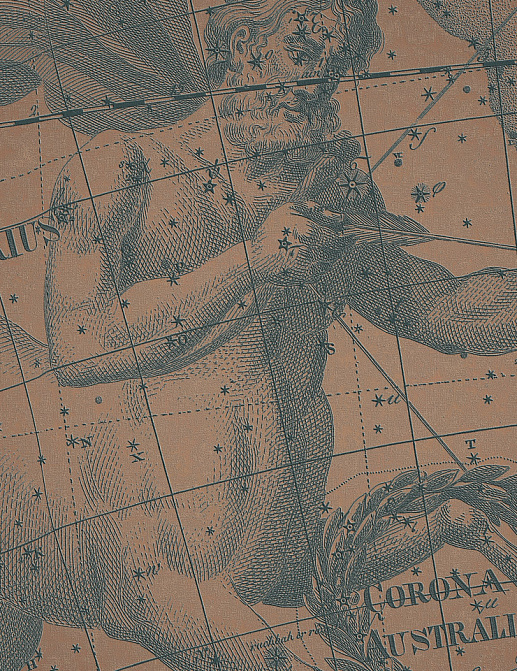 Панно и фотообои Italreflexes Macro Sagittarius-006/Copper