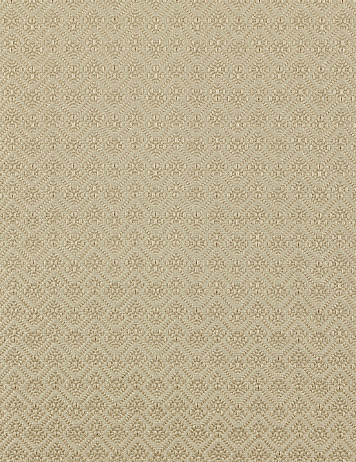 Ткань Dedar Jacquards & Selected Weaves II T19018/004
