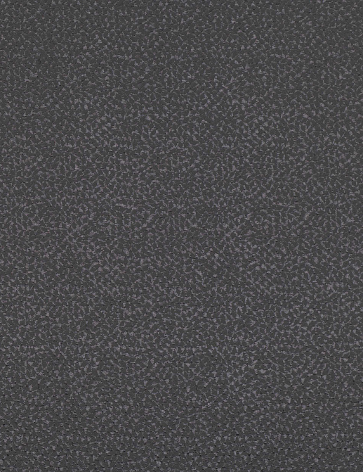 Ткань Black Edition Lorentz 7646/06