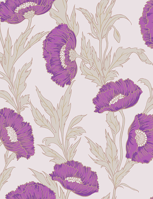 Обои Cole & Son Collection of Flowers 81/1002