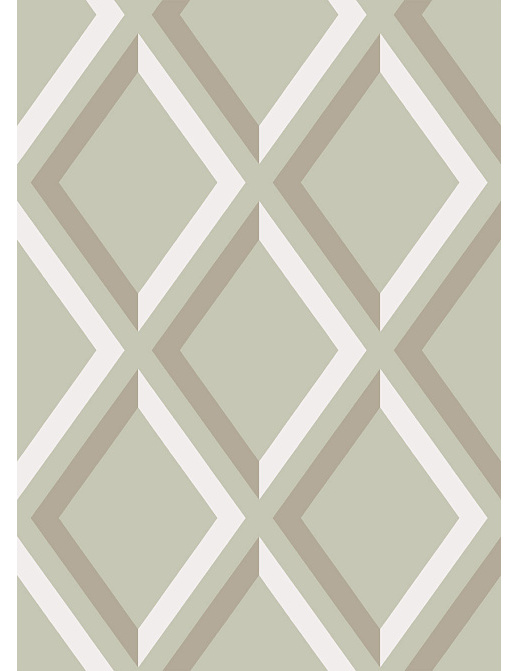 Обои Cole & Son New Contemporary 66/3021