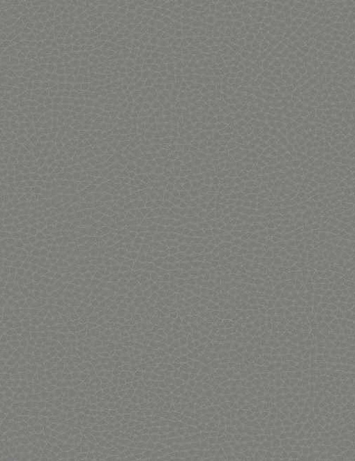Обои Carl Robinson Edition 17 - Loft CR83002