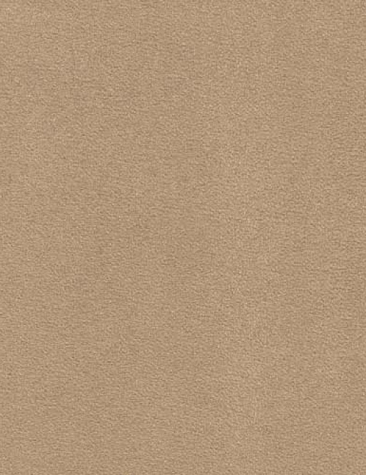 Обои Fardis Fuji 10043