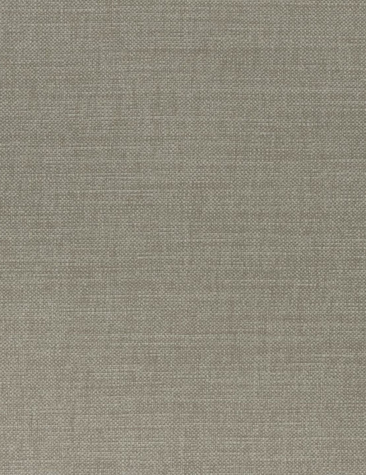 Ткань Thibaut Woven Resource 12 Prisma W70121