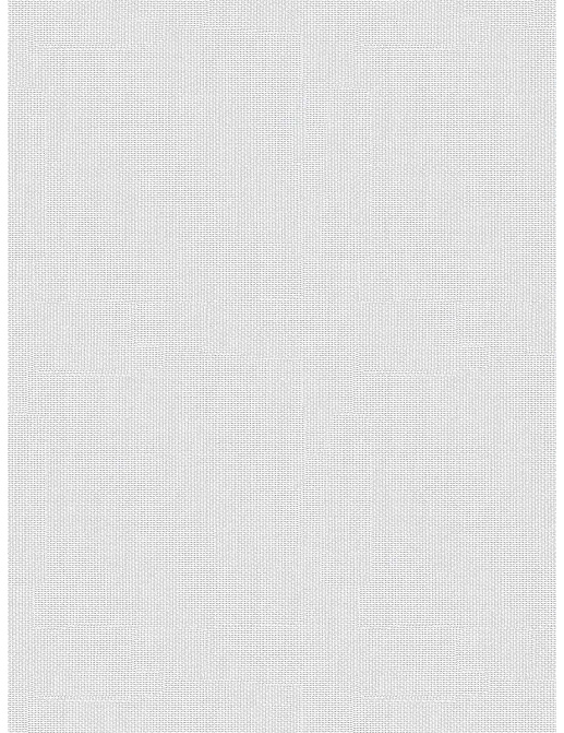 Ткань Fabricut Wide Natural Sheers Textural Breeze Pearl Foehn/Ice