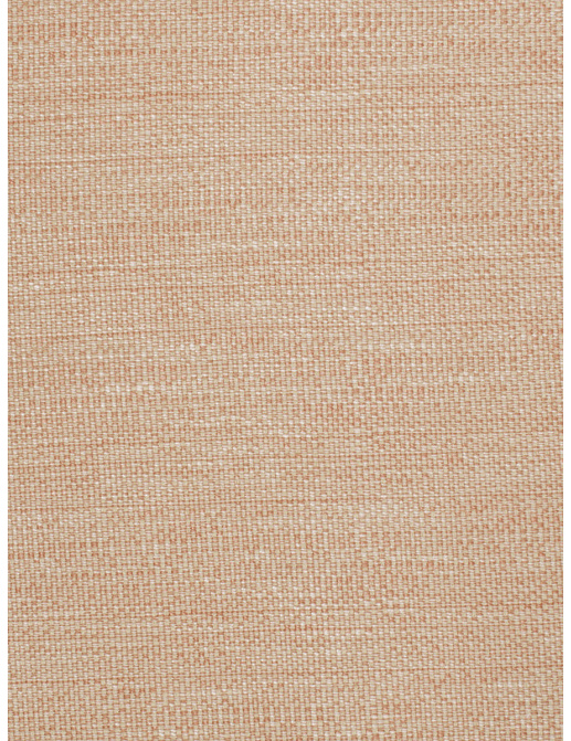 Ткань Trend Blush Punch Prints & Wovens Vol.III 02628/Blush