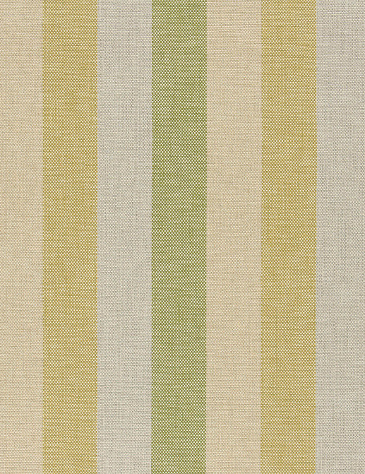 Ткань Designers Guild Padua F1981/04