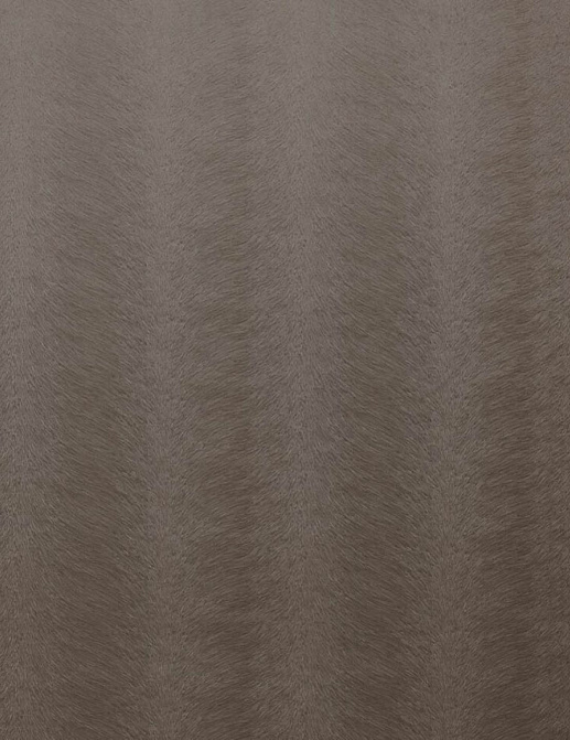 Ткань KAI Allegra II Allegra/Taupe