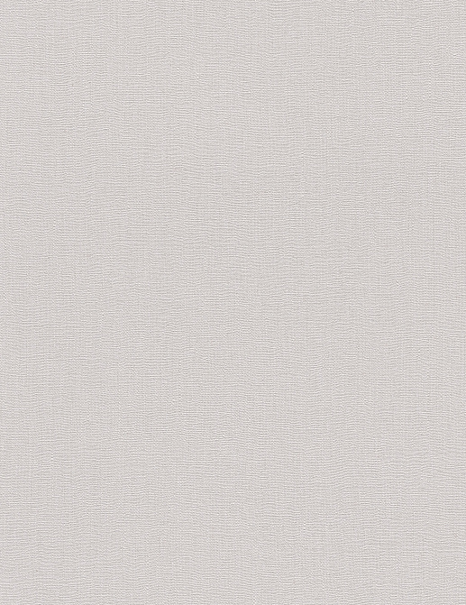 Обои Rasch Barbara Home Collection III 560053