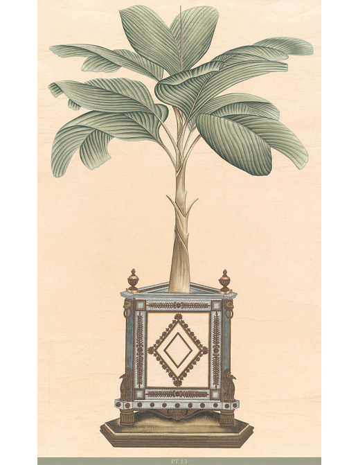 Панно и фотообои Iksel Scenic & Architectural Wallpapers Potted Palms PT13