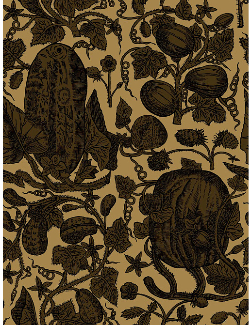 Обои Cole & Son Frontier 89/3011