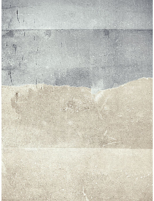 Панно и фотообои Eijffinger Wallpower Favourites 309041