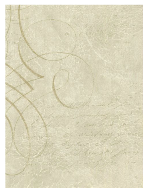 Обои Wallquest Sandpiper Studios - New Elegance SD70908