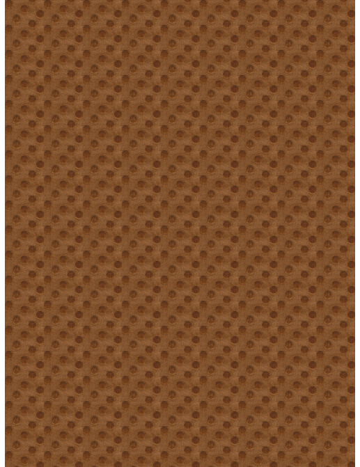 Ткань Fabricut Color Studio Vol.VII Copper Peekaboo/Copper