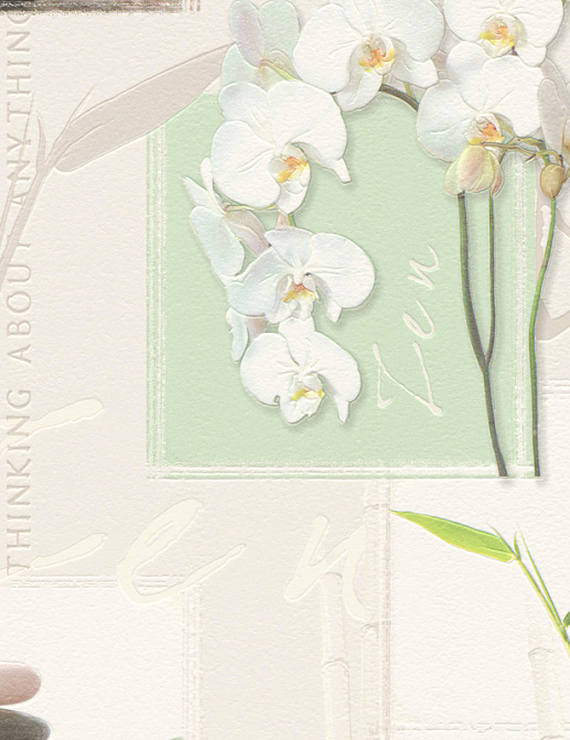 Обои A. S. Creation Simply Decor 877116