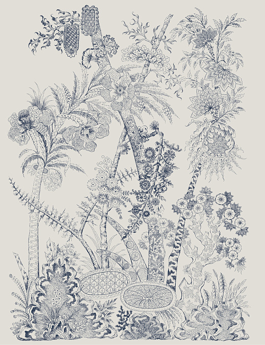 Панно и фотообои Bien Fait Papier Peint Flora/Marine