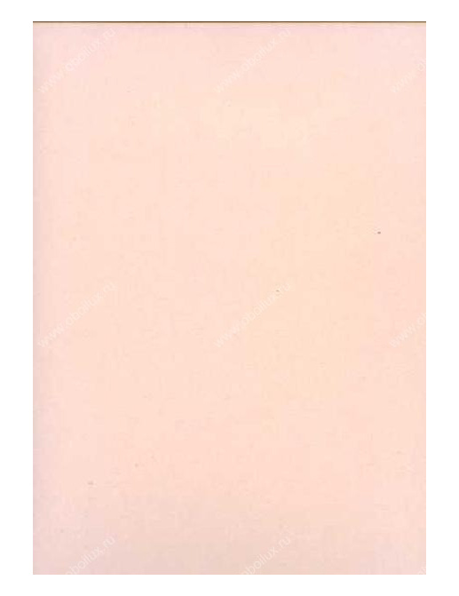 Обои Arte Tobago 3537