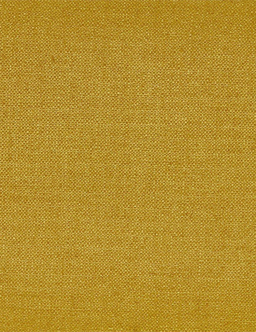 Ткань Zoffany Colours 333173