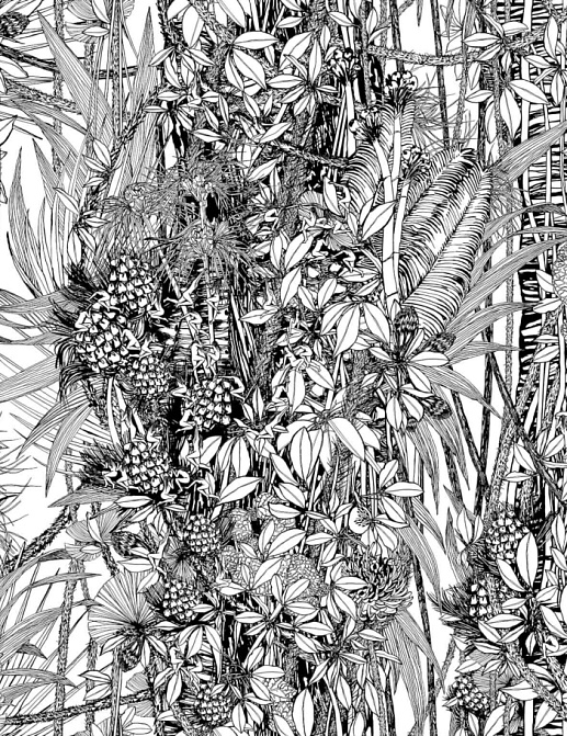 Обои Pierre Frey Jungle FP402002