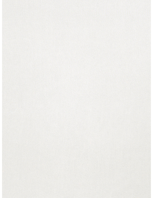 Ткань Trend Simple Wide Sheers 03191/winterwhite