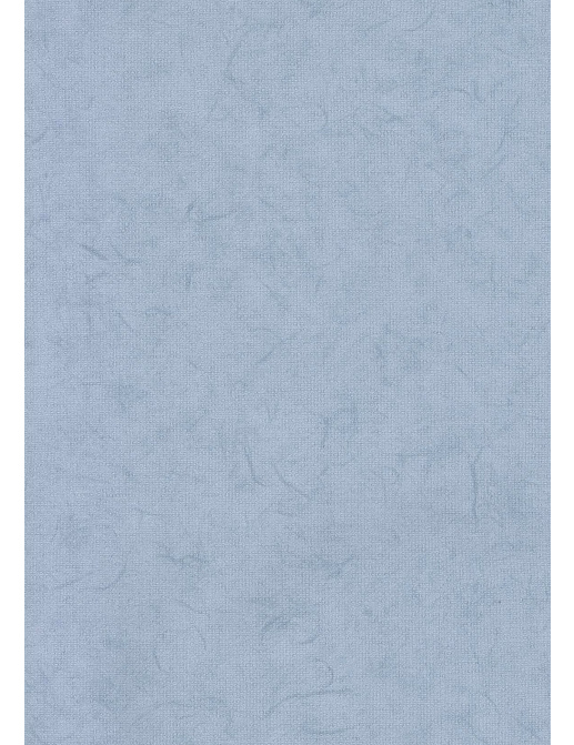 Обои BN International Glassy BN 218308