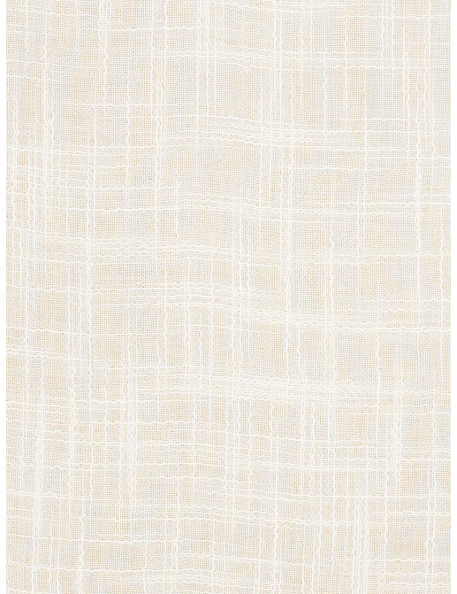 Ткань Fabricut Inspirations Vol.VI Ivory Mulan/Winter white