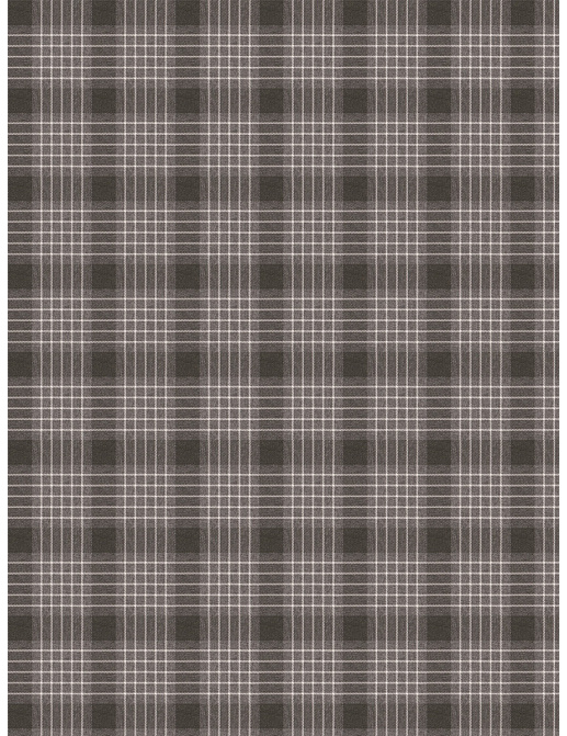 Ткань Fabricut Vignettes Vol.XIII Platinum Jonatan/Pewter