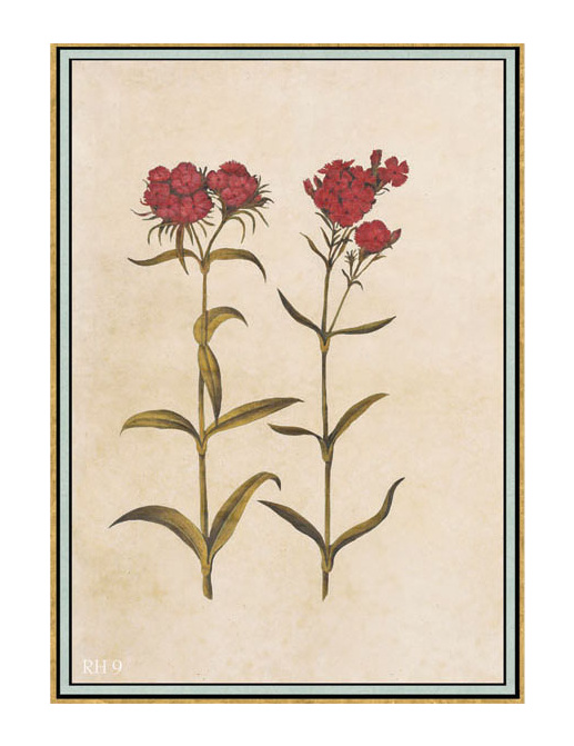 Панно и фотообои Iksel Scenic & Architectural Wallpapers Renaissance Herbier RH9