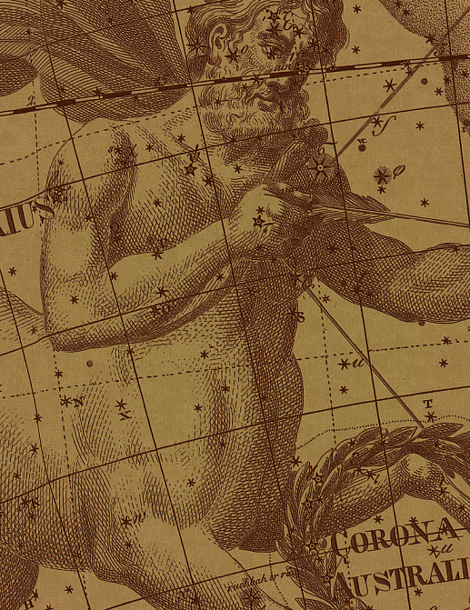 Панно и фотообои Italreflexes Macro Sagittarius-006/Gold