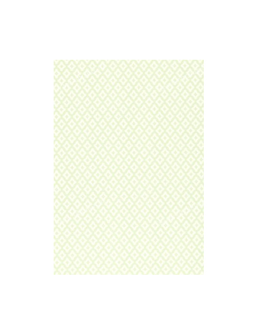 Обои Thibaut Geometric Resource T1841