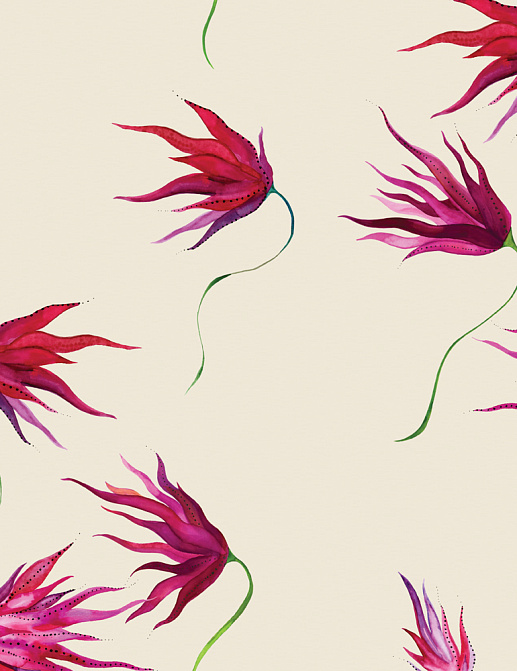 Обои Maison C Wallpaper Collection SKUED002